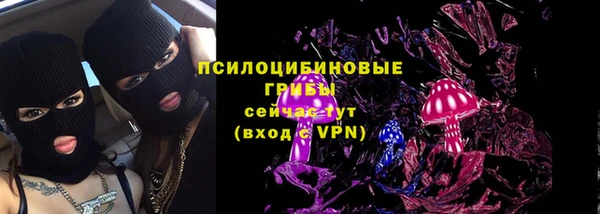 кристаллы Гусь-Хрустальный