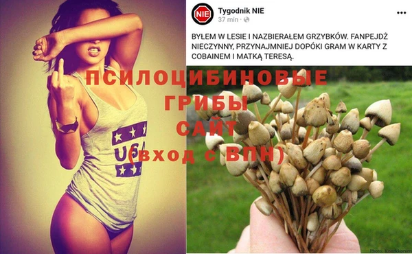 кристаллы Гусь-Хрустальный