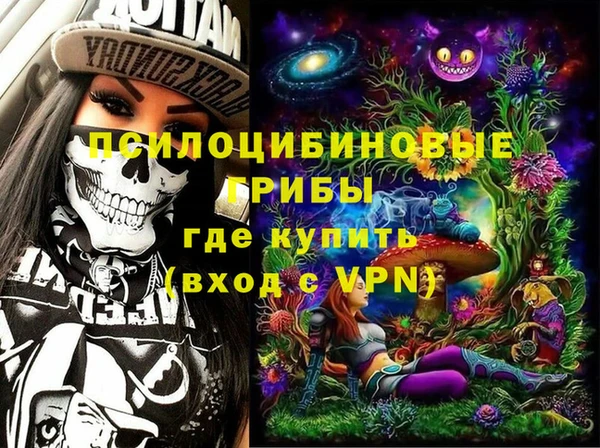 кристаллы Гусь-Хрустальный