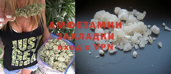 стаф Дмитриев