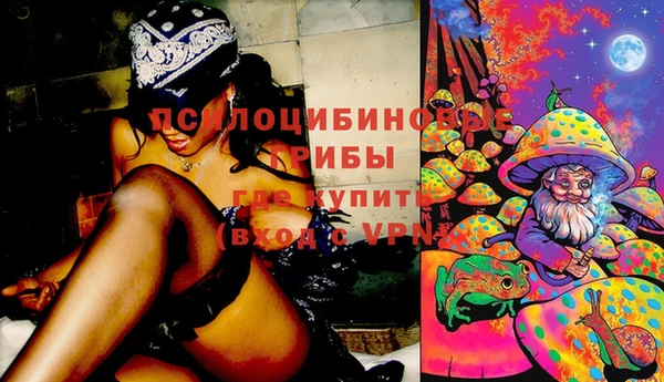 COCAINE Гусев