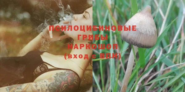 кристаллы Гусь-Хрустальный
