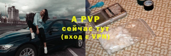 кристаллы Гусь-Хрустальный