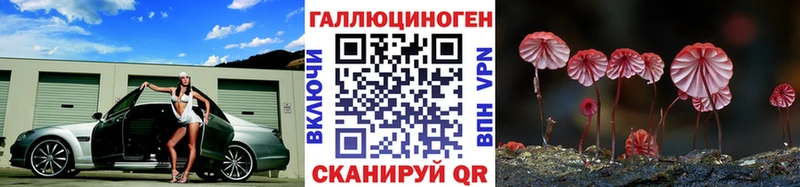 Купить  Тулун  Псилоцибиновые грибы GOLDEN TEACHER 